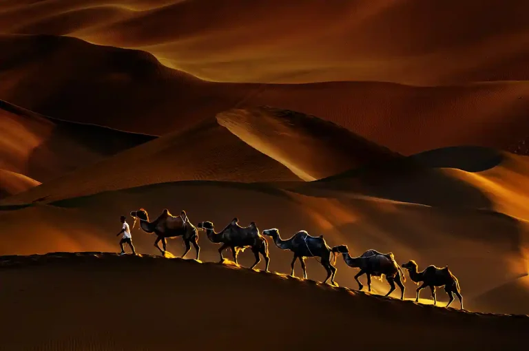 Desert Light - Jianping Liu - China - PSNS Merit Award - Color Open