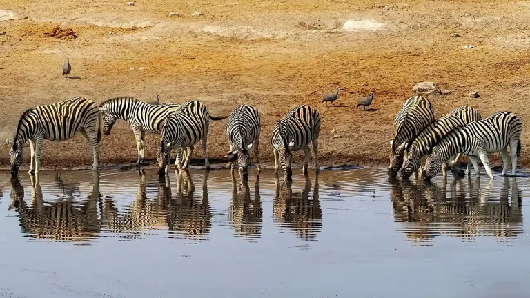 O That Water - Tomi Krizaj - Slovenia - PSNS Merit Award - Nature