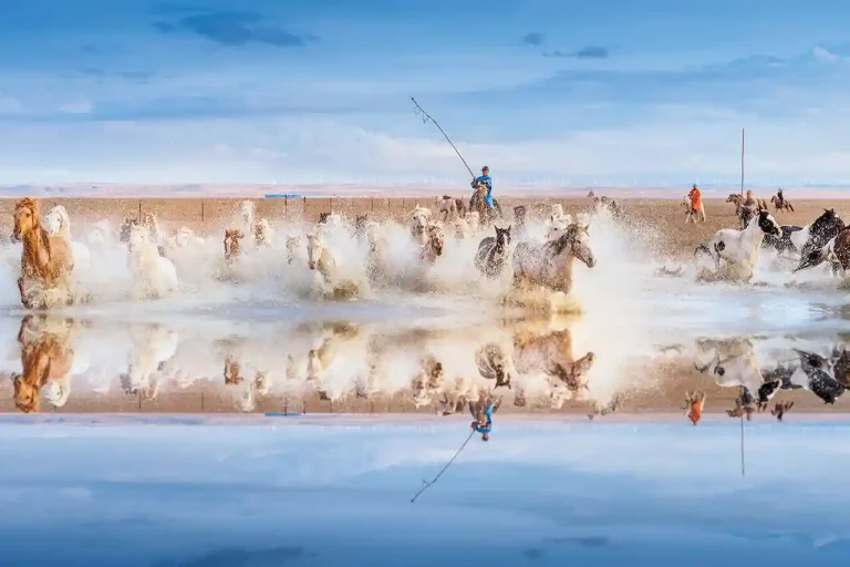 Tread Water2 - Pengcheng Qu - China - GPU HM Ribbon - Color Open